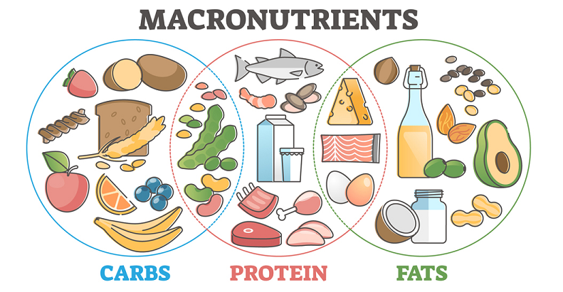 carbohydrates energy source