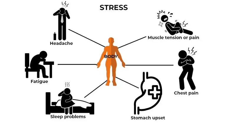 chronic stress physical health