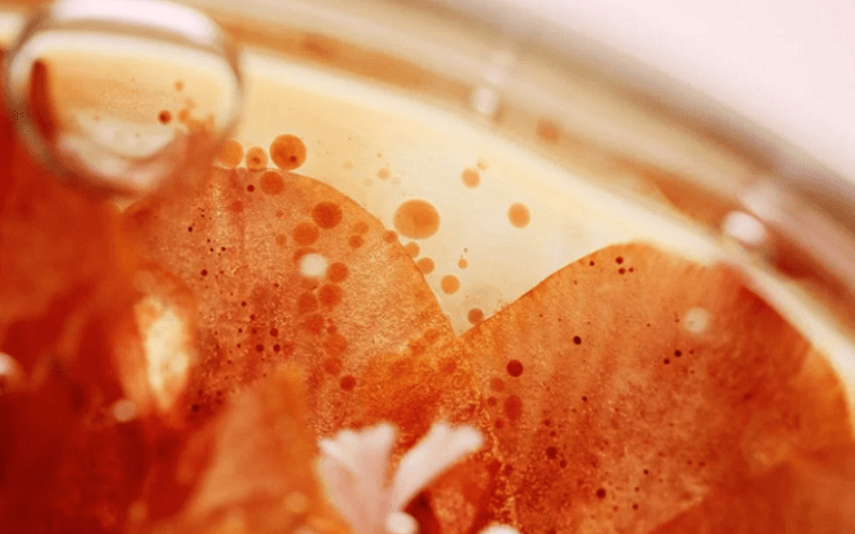 fermented skincare science process