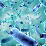 skin microbiome importance skincare