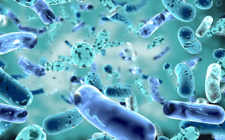 Understanding the Skin’s Microbiome: A New Frontier in Skincare ...