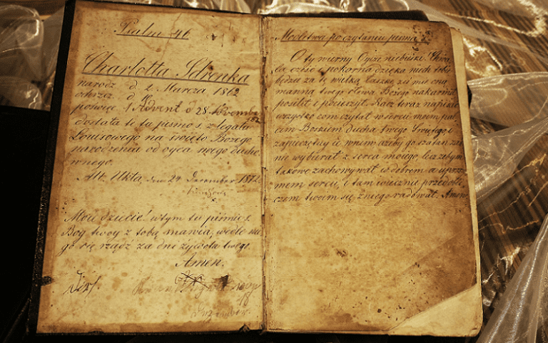 international document search genealogy