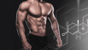 natural testosterone boosters workout