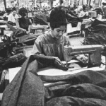 urbanization shifts cultureal ties