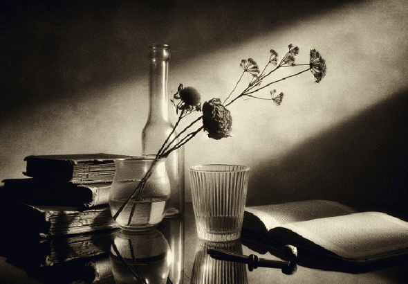 reading aloud engages brain regions